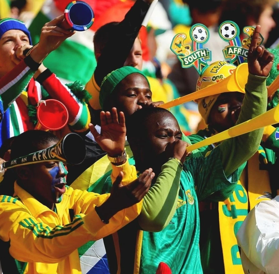 南非世界杯是在哪一年